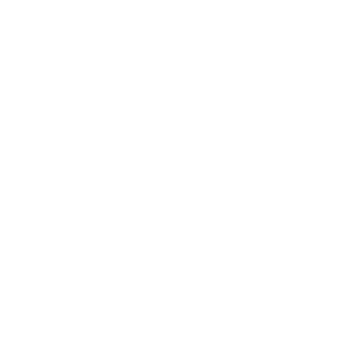 Instant Business Icon